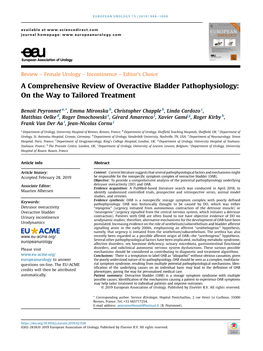 A Comprehensive Review of Overactive Bladder Pathophysiology: on the Way to Tailored Treatment