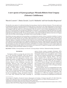 A New Species of Gymnogeophagus Miranda Ribeiro from Uruguay (Teleostei: Cichliformes)