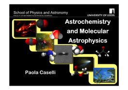 Astrochemistry and Molecular Astrophysics