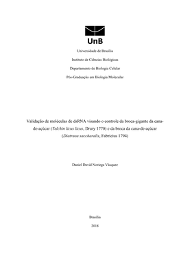 Validação De Moléculas De Dsrna Visando O Controle Da Broca-Gigante Da Cana- De-Açúcar (Telchin Licus Licus, Drury 1770) E