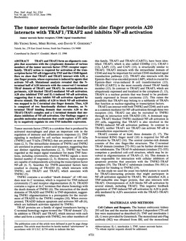 The Tumor Necrosis Factor-Inducible Zinc Finger Protein A20 Interacts