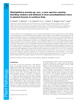 Phytophthora Acerina Sp. Nov., a New Species Causing Bleeding Cankers and Dieback of Acer Pseudoplatanus Trees in Planted Forests in Northern Italy