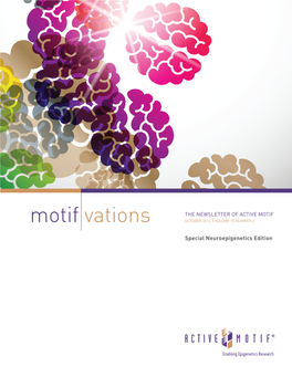 Motifvations Newsletter 15.2