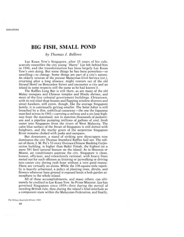 BIG FISH, SMALL POND by Thomas J