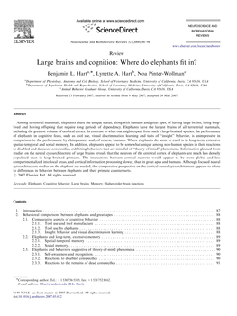 Large Brains and Cognition: Where Do Elephants Fit