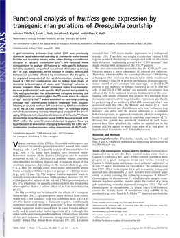 Functional Analysis of Fruitless Gene Expression by Transgenic Manipulations of Drosophila Courtship