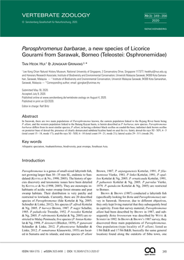 Parosphromenus Barbarae, a New Species of Licorice Gourami from Sarawak, Borneo (Teleostei: Osphronemidae)