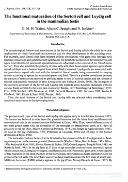 The Functional Maturation of the Sertoli Cell and Leydig Cell in the Mammalian Testis G