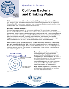 Coliform Bacteria and Drinking Water