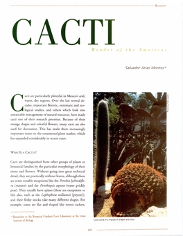 Cacti Are Particularly Plentiful in Mexico's Arid, Warm, Dry