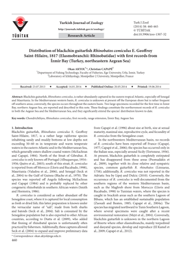 Distribution of Blackchin Guitarfish Rhinobatos Cemiculus E. Geoffroy