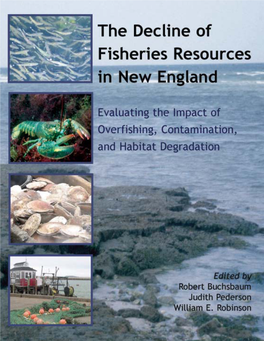 The Decline of Fisheries Resources in New England