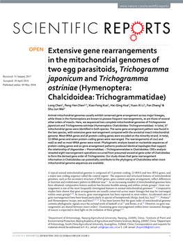 Extensive Gene Rearrangements in the Mitochondrial Genomes of Two Egg