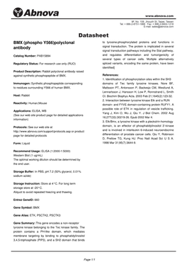 BMX (Phospho Y566)Polyclonal Antibody