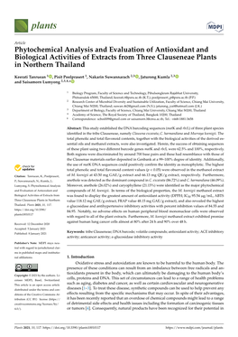 Phytochemical Analysis and Evaluation of Antioxidant and Biological Activities of Extracts from Three Clauseneae Plants in Northern Thailand