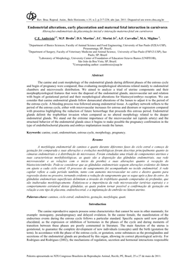 Endometrial Alterations, Early Placentation and Maternal Fetal