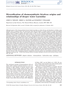 Diversification of Chemosymbiotic Bivalves: Origins and Relationships