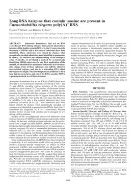 Long RNA Hairpins That Contain Inosine Are Present in Caenorhabditis Elegans Poly(A)؉ RNA