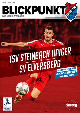 Tsv Steinbach Haiger Sv Elversberg