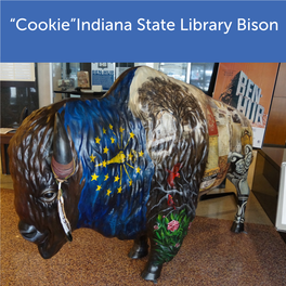 Indiana State Library Bison