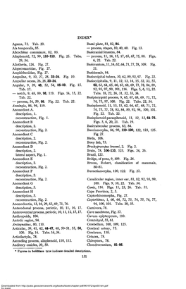 Agama, 73. Tab. 20. Ala Temporalis, 85. Alicochlear