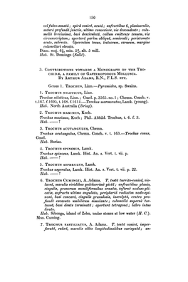 Grnus 1. TROCHUS, 5. TROCHUS 7. TROCHUS