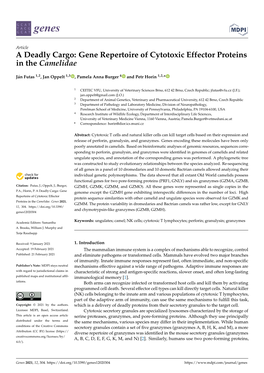 Gene Repertoire of Cytotoxic Effector Proteins in the Camelidae