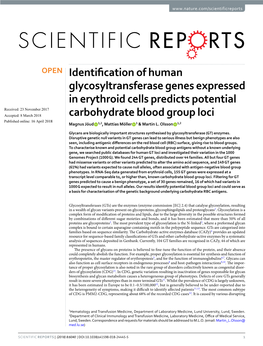 Identification of Human Glycosyltransferase Genes