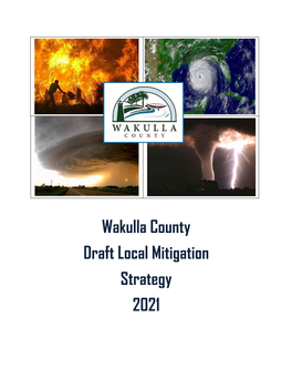 Wakulla County Draft Local Mitigation Strategy 2021 Table of Contents Acknowledgements