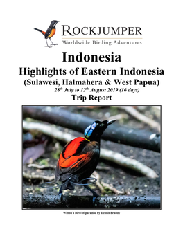 Indonesia Highlights of Eastern Indonesia (Sulawesi, Halmahera & West Papua) 28Th July to 12Th August 2019 (16 Days)