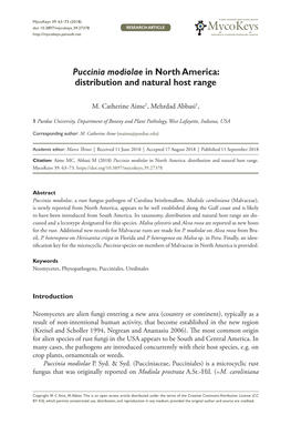 Puccinia Modiolae in North America: Distribution and Natural Host Range