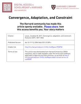 Convergence, Adaptation, and Constraint