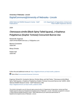 Black Spiny-Tailed Iguana), ,I>Gopherus Polyphemus (Gopher Tortoise) Concurrent Burrow Use