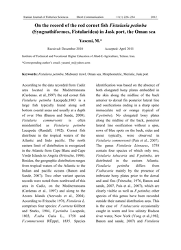 On the Record of the Red Cornet Fish Fistularia Petimba (Syngnathiformes, Fistularidea) in Jask Port, the Oman Sea