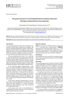 HP-Acta14 Dioli Et Al Sphedanolestes Annulatus New