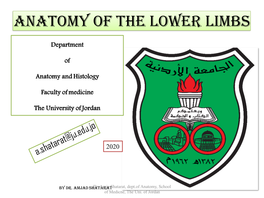 Anatomy of the Lower Limbs