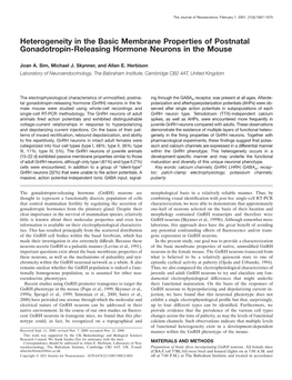 Heterogeneity in the Basic Membrane Properties of Postnatal Gonadotropin-Releasing Hormone Neurons in the Mouse