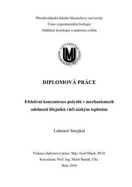 Diplomová Práce