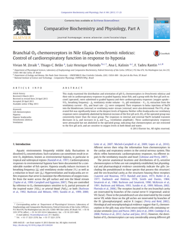 Branchial O2 Chemoreceptors in Nile Tilapia Oreochromis Niloticus: Control of Cardiorespiratory Function in Response to Hypoxia