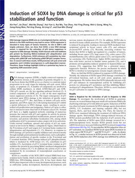 Induction of SOX4 by DNA Damage Is Critical for P53 Stabilization and Function