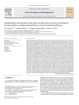 Establishment and Growth of Oak (Quercus Alba, Quercus Prinus) Seedlings in Burned and ﬁre-Excluded Upland Forests on the Cumberland Plateau