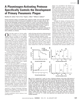 A Plasminogen-Activating Protease Specifically Controls The