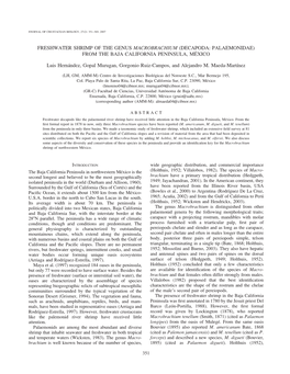 Freshwater Shrimp of the Genus Macrobrachium (Decapoda: Palaemonidae) from the Baja California Peninsula, Me´ Xico