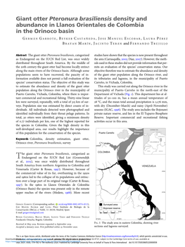 Giant Otter Pteronura Brasiliensis Density and Abundance in Llanos Orientales De Colombia in the Orinoco Basin