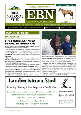 Lambertstown Stud, and 1 Hr 45 Minutes from Coolmore