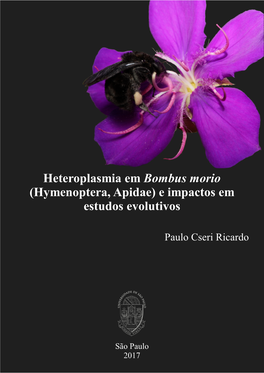 Heteroplasmia Em Bombus Morio (Hymenoptera, Apidae) E Impactos Em Estudos Evolutivos