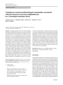 Variation in Ectomycorrhizal Fungal Communities Associated with Oreomunnea Mexicana (Juglandaceae) in a Neotropical Montane Forest