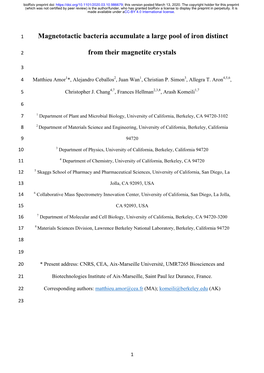 Magnetotactic Bacteria Accumulate a Large Pool of Iron Distinct