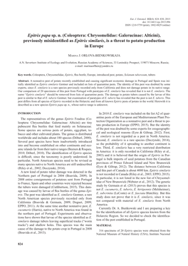 Epitrix Papa Sp. N. (Coleoptera: Chrysomelidae: Galerucinae: Alticini), Previously Misidentified As Epitrix Similaris, Is a Threat to Potato Production in Europe