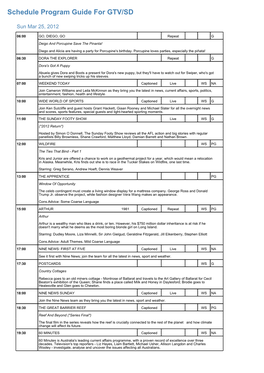 Program Guide Report